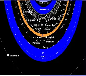 Schéma du système d’anneaux et de lunes d’Uranus. Les lignes continues montrent les anneaux, les lignes en pointillés, les orbites des lunes.