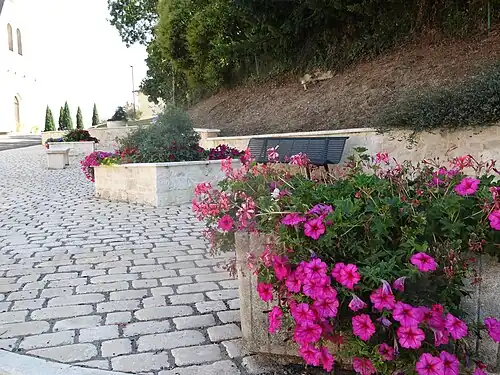 Banc et fleurs.