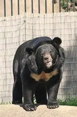Description de cette image, également commentée ci-après