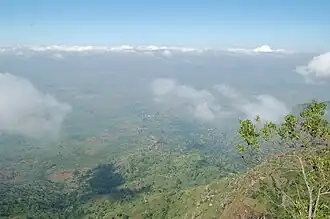 Usambara