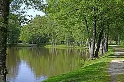 Rive sud