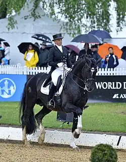 Dressage