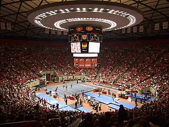 Image illustrative de l’article Gymnastique