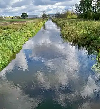 Wawrzyszew