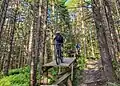 Vélo de montagne.