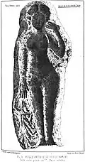 Moule antique (intérieur) de Vénus marine.