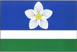 Drapeau de Vílanec
