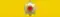 VEN Order Francisco de Miranda - Grand Cross BAR