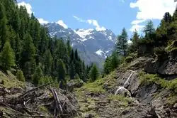 Vue du val Trupchun.