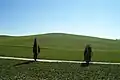 Paysage rural typique
