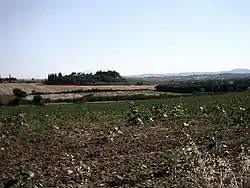 Panorama du Val di Chiana vers Castiglion Fiorentino.