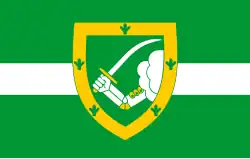 Drapeau de Valga