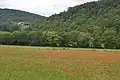 Vallée du ruisseau de Senesse-de-Senabugue