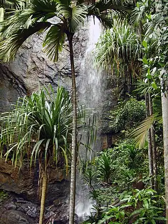 Cascade de la Vallée de Mai.