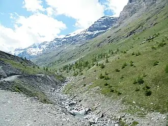 Vue du torrent du Ribon.