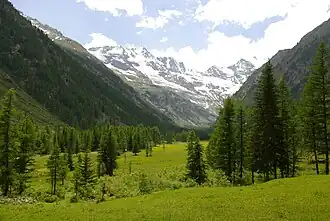 Panorama de Valnontey