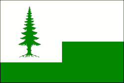 Drapeau de Valy