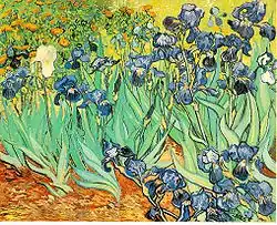Iris, 1889, huile sur toile, 71 × 93 cm, Los Angeles, J. Paul Getty Museum (F608/JH1691).