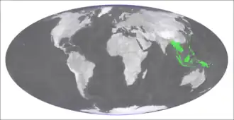 Description de l'image Vandenboschia auriculata distribution.png.