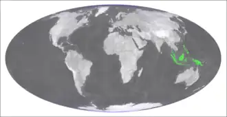 Description de l'image Vandenboschia maxima distribution.png.