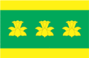 Drapeau de Vara