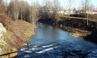 Polonghera