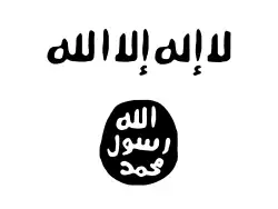 Drapeau des Al-Shabbaabs