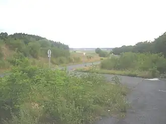 Bejcgyertyános