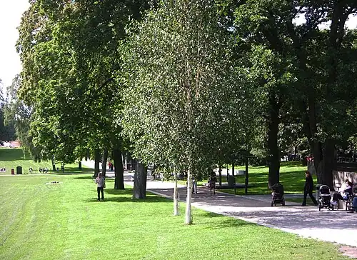 L'été au Vasaparken, 2011.