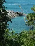 Les Vasche depuis la pinède de Libero Gatti.