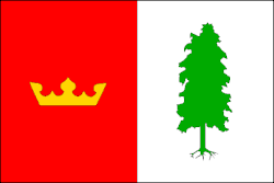 Drapeau de Velký Bor