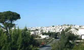 Carovigno