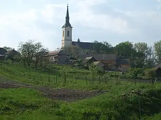 Vlkyňa