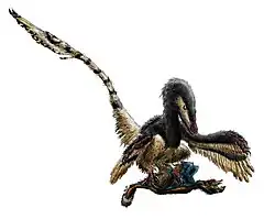 Les médias et le grand public reprennent souvent l'étymologie fautive associée à la férocité qu'on prête aux dinosaures (ici les griffes acérées du Velociraptor utilisées pour maintenir sa proie tandis qu'il la dévore).