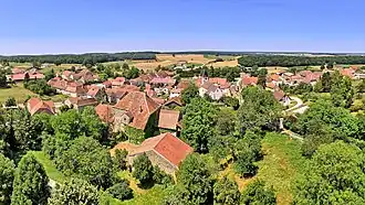 Venère