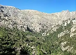 Vallon du ruisseau de Paratella et Monte Cardo.