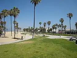 Venice Board Walk.