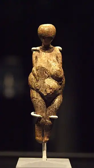 Image illustrative de l’article Vénus de Kostienki