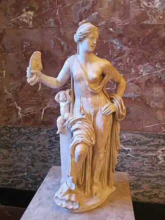 Image illustrative de l’article Vénus vulgaire