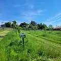 Verger participatif situé au cœur du parc de l'abbaye.