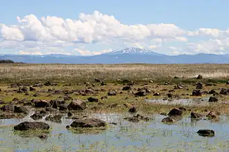 Plateau jonché d'une mare, de blocs rocheux et d'herbes avec un volcan enneigé en arrière-plan.