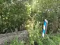Cours d'eau la Longuève.
