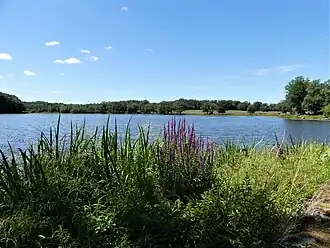L'étang de Viges.