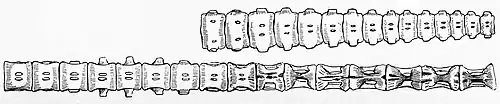 Dessin de vertèbres de plésiosaures sur fond blanc.