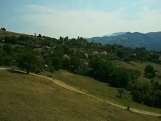 Veseniće