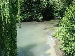 La Vesle à Courmelois.