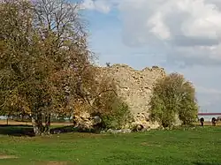 Vestiges du donjon.