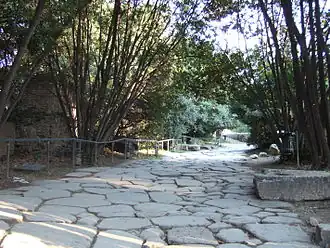 voie dallée de pierres entre des arbustes
