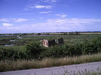 Rosolina