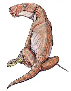 Reconstitution d'un Viatkogorgon (représenté en rouge) dévorant l'anomodonte Suminia (représenté en jaune, en bas à gauche de l'image, vers les pattes de de Viatkogorgon).